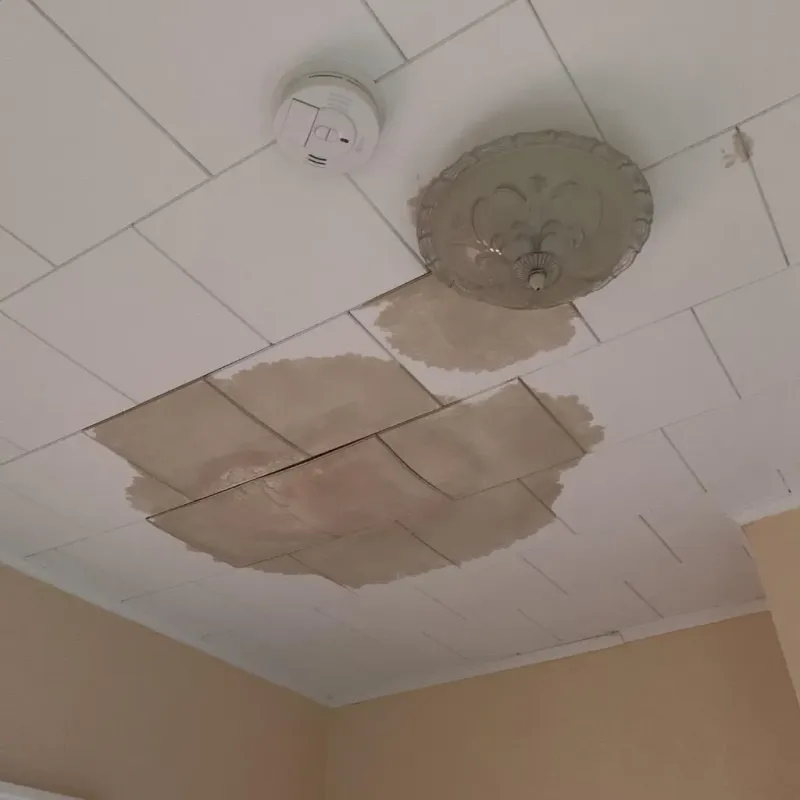 Ceiling Water Damage Repair in Cherokee County, AL