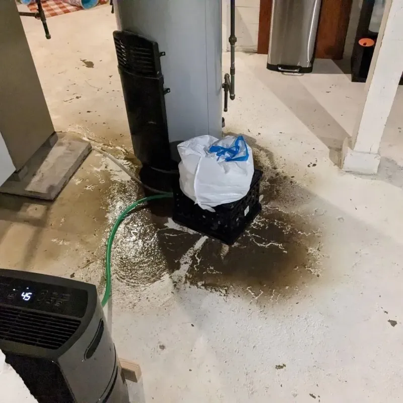 Sewage Backup Cleanup Service in Cherokee County, AL